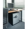 Masterlock LFW205FYC XX-Large security digital combination safe