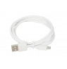 WALL CHARGER I-BOX C-41 2,4A USB-C
