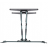 Gembird Wall mount WM-80STR-01 Tilt, swivel, rotate 40-80 " Maximum weight (capacity) 50 kg Black
