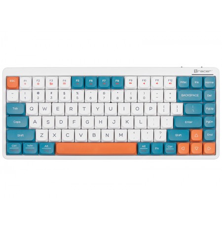 Tracer 47309 FINA 84 White/Blue (Outemu Red Switch)