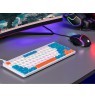 Tracer 47309 FINA 84 White/Blue (Outemu Red Switch)