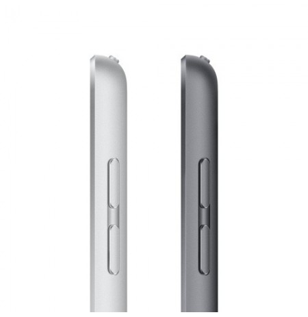 Apple iPad Planšetinis kompiuteris 10.2'', 64GB, Wi-Fi, 9th Gen, Grey