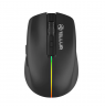 Tellur Silent Click Black