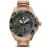 Aviator GMT Darius ir Girėnas. Skrydis per Atlantą V.1.37.2.292.5
