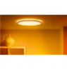 Wizarding World | Smart WiFi SuperSlim Ceiling 545mm, White | 32 W | 2200-6500 K (RGB)