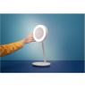 Wizarding World | Smart WiFi Portrait Desk Lamp | 2700-6500 K