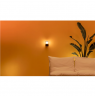 Wizarding World | Smart WiFi Outdoor Wall Light | 8.5 W | 2700-5000 K (RGB)