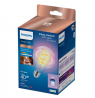 Wizarding World | Philips Smart WiFi Filament Clear G95 RGB | E27 | 6.3 W | Full colour