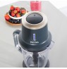 Petra PT5393BGRYVDE Cordless Jug blender