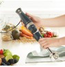 Petra PT5612BGRYVDE Hand blender blue grey/soft gold