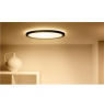WiZ | Smart WiFi SuperSlim Ceiling 545mm, Black | 32 W | 2200-6500 K (RGB)