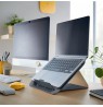 Leitz Ergo Cosy Laptop stand Grey 43.2 cm (17")