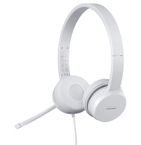 Ausinės su mikrofonu Lenovo 110, GXD1J77354, pila spalva