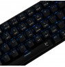 White Shark Premium Line GK-003111 Kaiken US