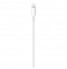 Apple USB-C to Lightning Cable (1m)