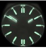 Citizen Automatic NK5010-51L