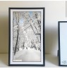 Agfa Photo APF1560 Wi-Fi Digital Photo Frame 15,6 black