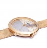 Adriatica A3632.911ZQ