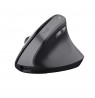 Mouse TRUST BAYO II ERGONOMIC WIRELESS MOUSE BLK (25145)