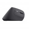 Mouse TRUST BAYO II ERGONOMIC WIRELESS MOUSE BLK (25145)