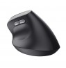 Mouse TRUST BAYO II ERGONOMIC WIRELESS MOUSE BLK (25145)