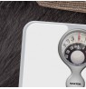 Salter 484 WHDRFEU16 Magnifying Lens Mechanical Bathroom Scale