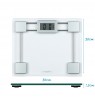 Salter 9081 SV3RFTE Glass Electronic Bathroom Scale