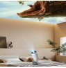 Manta PMA102M24 MultiVision Portable Smart Projector