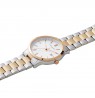 Pierre Cardin CQI.0012 Épinettes Essential