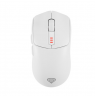 Zircon 500 | Wireless/Wired | Gaming Mouse | 2.4 GHz, Bluetooth, USB | White