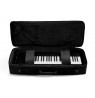 Expressive E - Osmose Softcase
