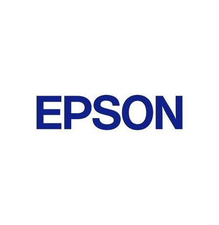 EPSON Singlepack Light Cyan T850500