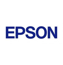 Epson T8507 | Ink Cartridge | Light Black