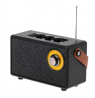 Camry | Speaker with radio | CR 1902 B | Black | Wireless connection