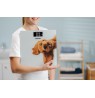 Zelmer ZBS1010 Crazy dog