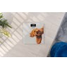 Zelmer ZBS1010 Crazy dog