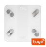 Smart waga łazienkowa ADLER AD 8186w