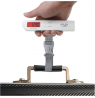Adler | Travel Luggage Scale | AD 8191 | Maximum weight (capacity) 50 kg | Accuracy 10 g | Grey