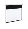 ART EL E100 16:9 Display Electric EM-100 16:9 100 221x125cm matte white with remote control