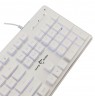 White Shark GK-003241 Tachi White US