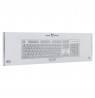 White Shark GK-003241 Tachi White US