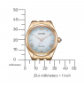 Citizen Eco-Drive EM1143-81X