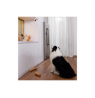 Anker Eufy | Security Indoor Camera | Cam 2K Pan & Tilt | Tabletop/ Ceiling-Mounted | H.265