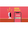 WiZ Smart WiFi Self-Monitoring Starter kit|8.5 W