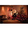 Philips Hue Festavia string lights 500 LED, 40m|Variable