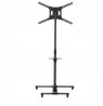 BARKAN SW411H 13"-83" TV, pakreipiamas, su lentyna