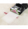 Bissell | PowerWash Pet
