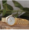 Balmain de Balmain B4930.33.85