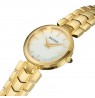 Balmain Madrigal B4270.33.86