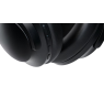 Belaidės Panasonic ausinės RB-HX330BDEK